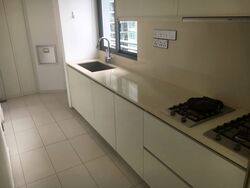 Viva (D11), Condominium #588108191